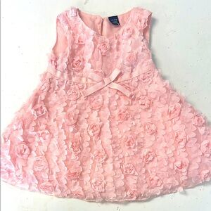 Baby Gap 12-18 Floral Tulle Rose Petal Dress